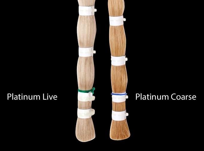 Platinum "Live" Hanks