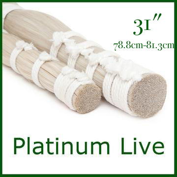 Platinum Live 31" (500g Bundle)