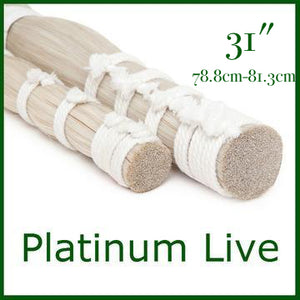 Platinum Live 31"